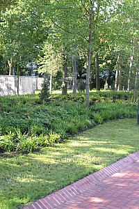 100-0003 IMG