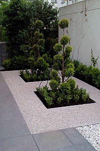 DSC00202