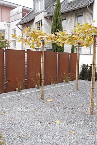 DSCN0170