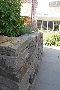DSCN1504