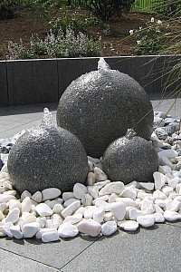 IMG 0478