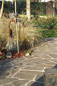 IMG 1485