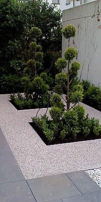 DSC00202