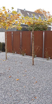 DSCN0171