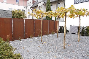 DSCN0170