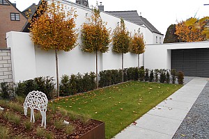 DSCN0172