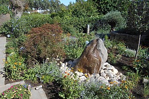 DSCN1494