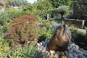 DSCN1496
