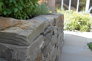 DSCN1504