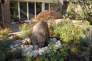 DSCN1510