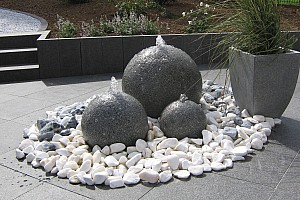 IMG 0478