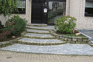 IMG 1207