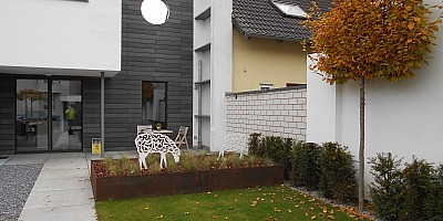 DSCN0169