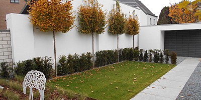 DSCN0172