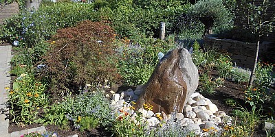 DSCN1494