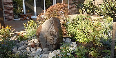 DSCN1510