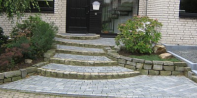 IMG 1207
